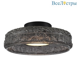 Потолочный светильник ST Luce Antike SL6143.412.01