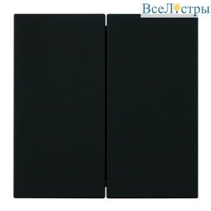 Выключатель 2-клавишный (механизм) Stekker Мия 250В 10А RSW10-3104-05 черный бархат 50443