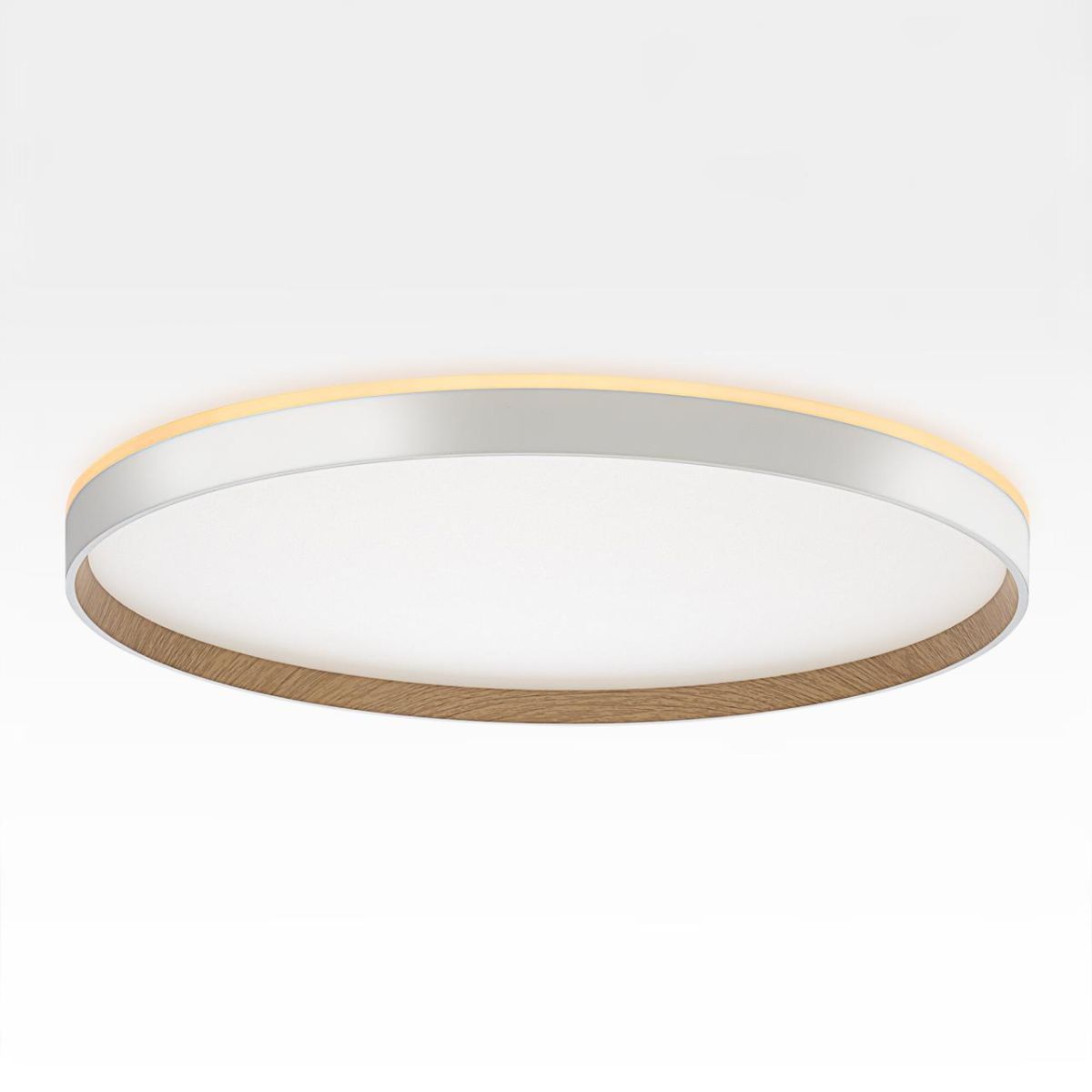 накладной светильник citilux etalon cl750500r