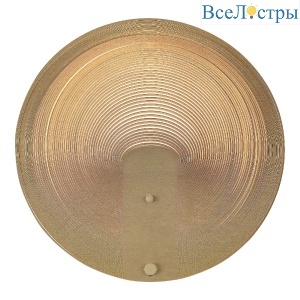 Настенный светильник ST Luce Fossil SL6900.501.16