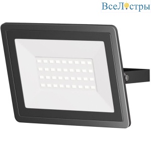 Прожектор светодиодный Maytoni Flood 30W 6500K FL001-L30B6K