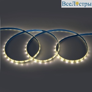 Светодиодная лента General GLS-5050-60-14.4-24-IP65-4 503312