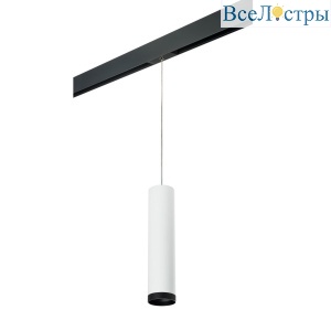 Трековый светильник Lightstar Rullo (214496+595857+203437) PRORP4963437