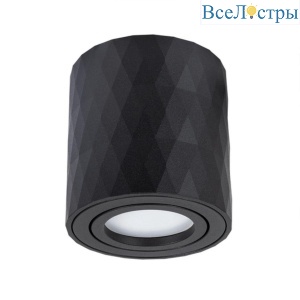 Потолочный светильник Arte Lamp Fang A5559PL-1BK