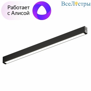 Трековый светодиодный светильник Denkirs DK8005-BK