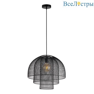 Подвесной светильник Arte Lamp Castello A7064SP-1BK