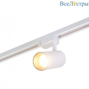 Трековый светильник Denkirs DK6030-WH