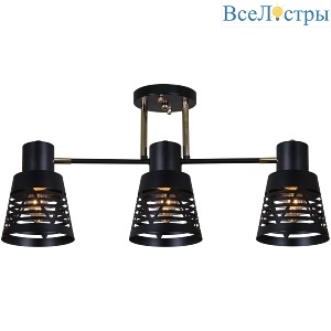 Потолочная люстра Reluce 06074-3.3-03 BK+FG