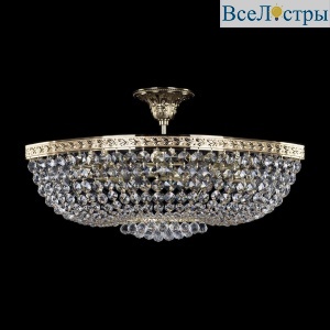 Потолочная люстра Bohemia Ivele 19283/55IV G