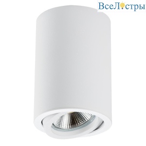 Потолочный светильник Lightstar Rullo 214406