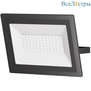 Прожектор светодиодный Maytoni Flood 50W 6500K FL001-L50B6K