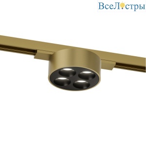 Трековый однофазный светильник Denkirs Shine grill DK5772-SB