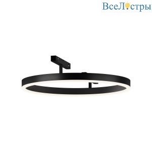Трековый магнитный светильник Maytoni Rim TR227-2-24W4K-B