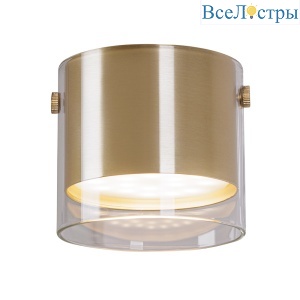 Накладной светильник Arte Lamp Lazio A5366PL-1SG