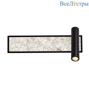 Настенный светильник Favourite Primum 4859-1W