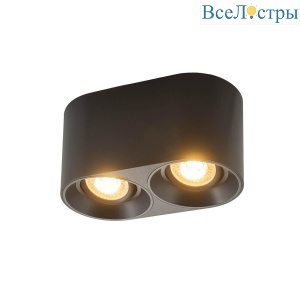 Накладной светильник Denkirs DK3036-BK