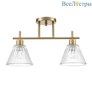 Потолочный светильник Lumion Vivian 8188/2C