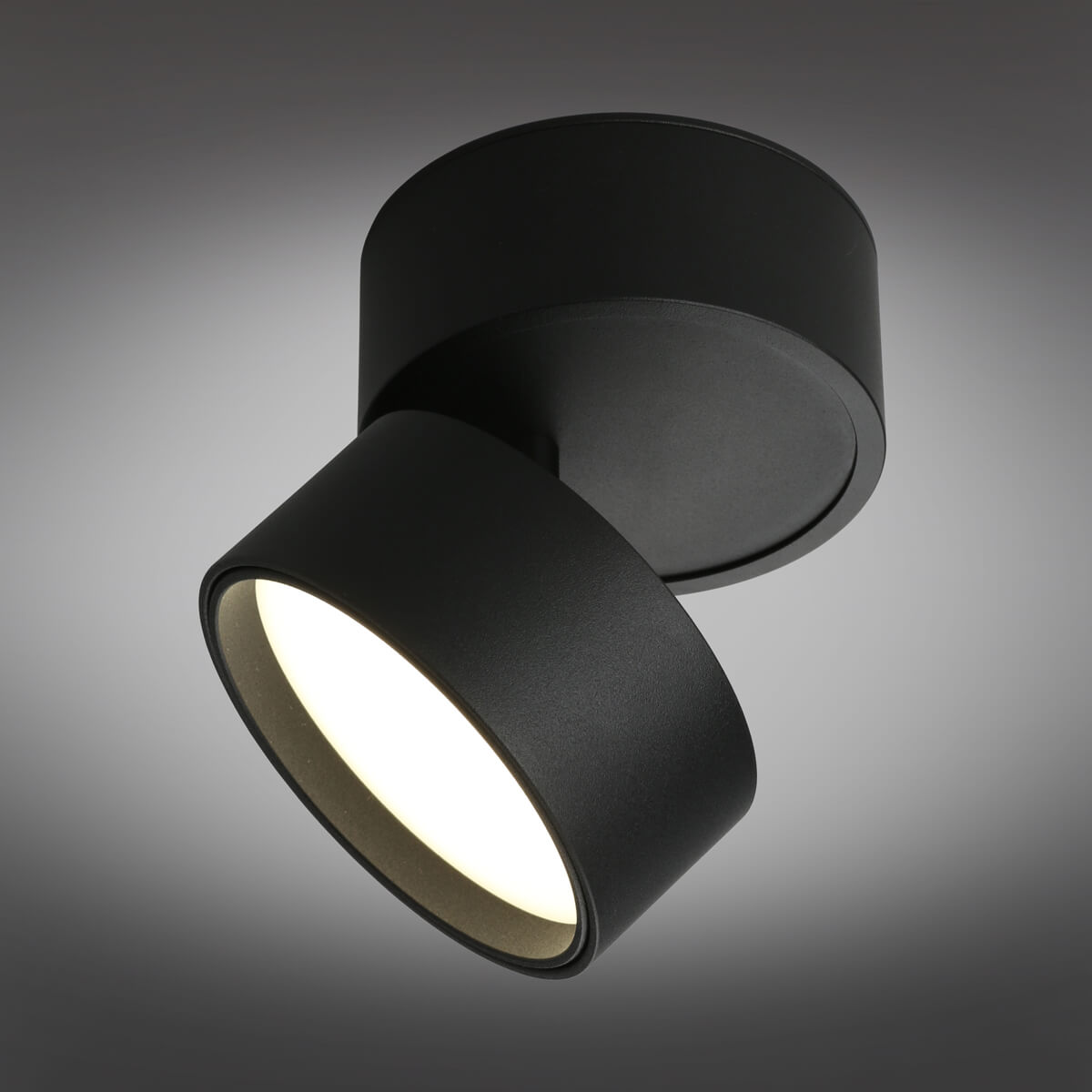 светодиодный спот omnilux lenno oml-101319-12