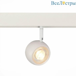 Трековый светодиодный светильник ST Luce Dero ST355.536.10