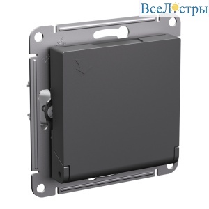Розетка с/з со шторками с крышкой Systeme Electric AtlasDesign Базальт ATN001446