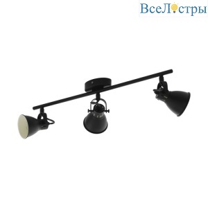 Спот Eglo Seras 98399