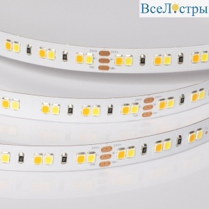 Светодиодная лента Arlight UL-A140-10mm 24V White-MIX (15 W/m, IP20, 5m) 057681