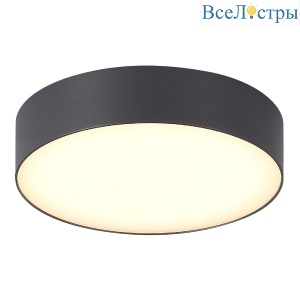Уличный потолочный светильник ST Luce Sun SL9518.702.01