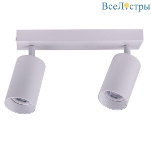 Спот Brizzi Aras BR08083