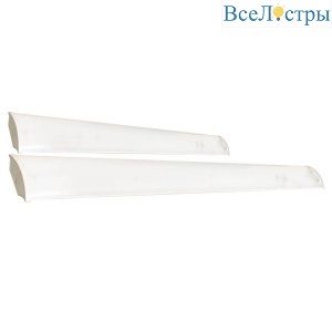 Настенно-потолочный светильник ЭРА ДПО 11-2х18-001 Б0048428