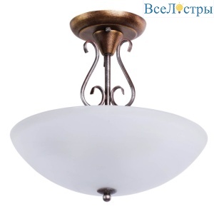 Потолочный светильник MW-Light Аида 323012603