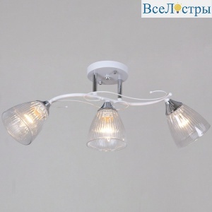 Потолочный светильник Reluce 55560-0.3-03 WH+CR