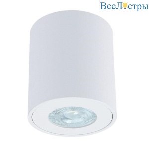 Потолочный светильник Arte Lamp Tino A1469PL-1WH