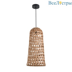 Подвесной светильник Favourite Recinto 4888-1P
