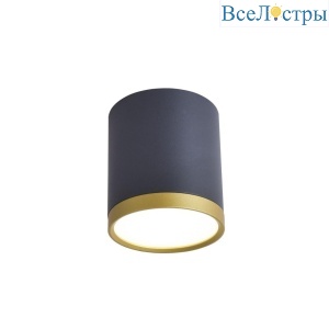 Потолочный светильник Favourite Baral 3081-1C