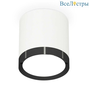 Комплект накладного светильника Ambrella light Techno Spot XS (C8141, N8113) XS8141002