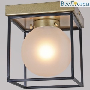 Потолочный светильник Illumico IL0050-1C-79