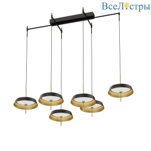 Подвесная люстра Delight MD18001061-6B  black/gold