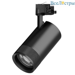 Трековый трехфазный светильник Quattro 20-55G с адаптером Lightstar Canno Pro C4407QT