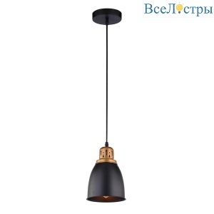 Подвесной светильник Arte Lamp Eurica A4248SP-1BK