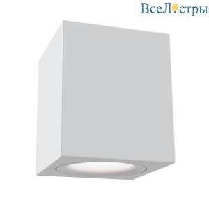Потолочный светильник Maytoni Alfa C013CL-01W