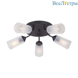 Потолочная люстра Vitaluce V3762-1/5PL