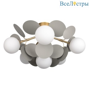 Потолочная люстра Loft IT Matisse 10008/6C Grey
