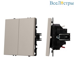 Механизм выключателя двухклавишный непроходной Arlight SWT-NOBE-MK02-SFPL-CA (230V, 10A) 059419