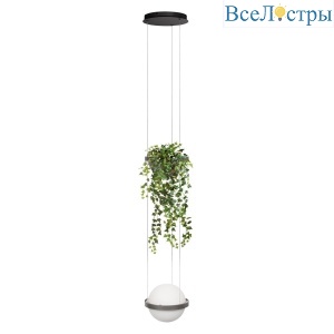 Подвесной светодиодный светильник Loft IT Jardin 10121/1P Dark grey