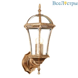 Уличный настенный светильник Feron Неаполь PL621 11617