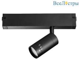 Трековый однофазный светильник Lightstar Teta 205017R