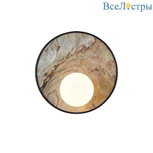 Настенный светильник Favourite Messier 4594-1W