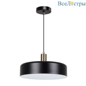 Подвесной светильник Arte Lamp Skat A7152SP-1BK