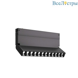 Трековый магнитный светильник ST Luce Skyline 220 ST686.436.09H