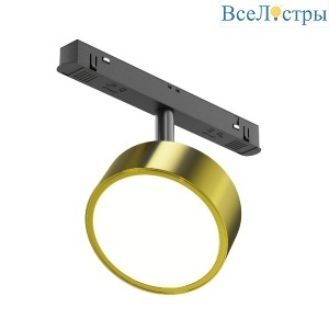 Трековый магнитный светильник Maytoni Rado TR040-2-18W3K-BBS